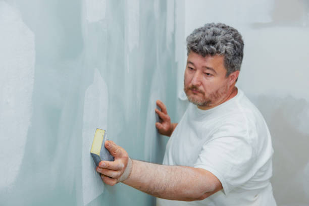 Best Residential Mold Inspection & Testing  in USA